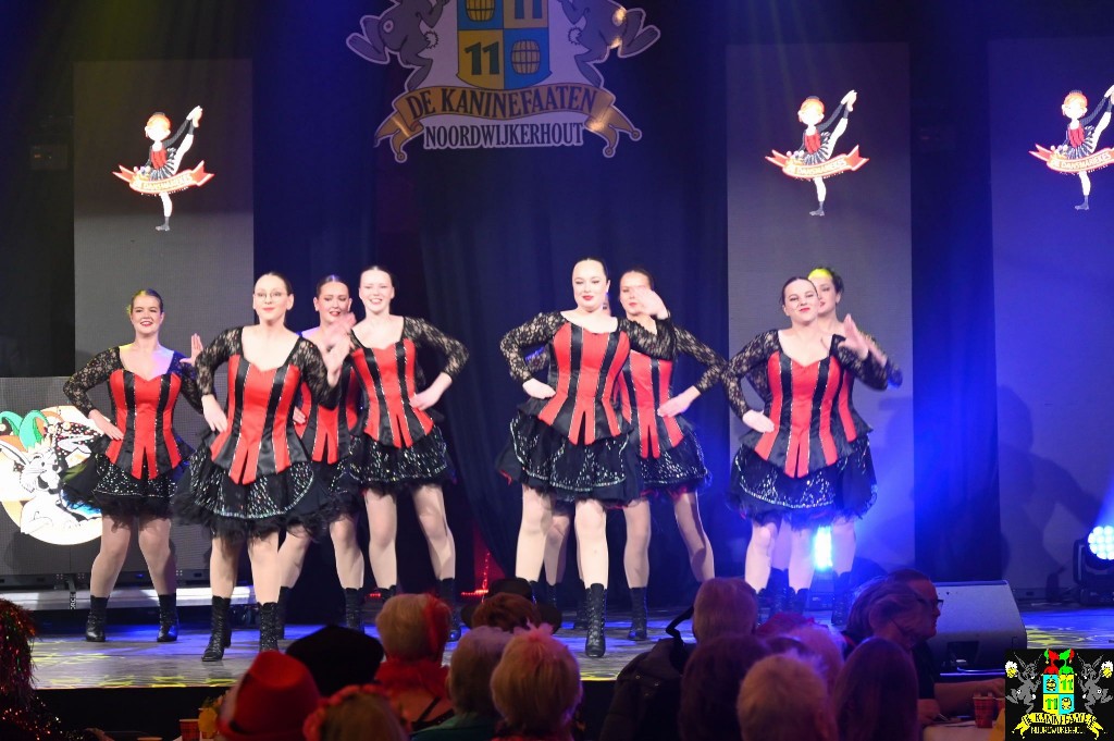 ../Images/Seniorencarnaval 2026 058.jpg